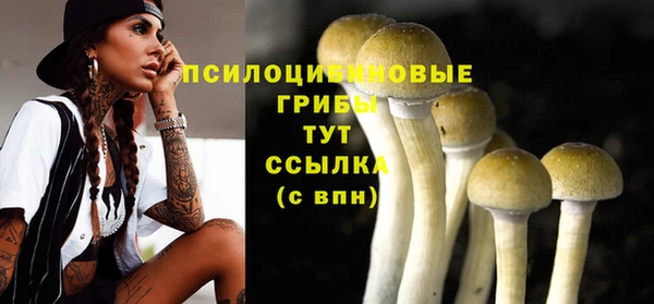 jwh Михайлов