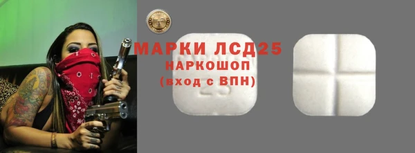 прущие грибы Надым
