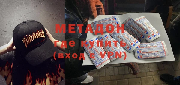 прущие грибы Надым