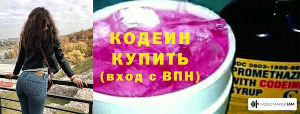 прущие грибы Надым